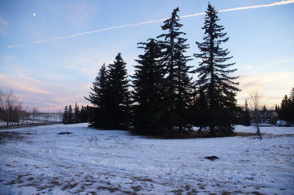 加拿大卡加利，美麗的雪景！超喜歡！