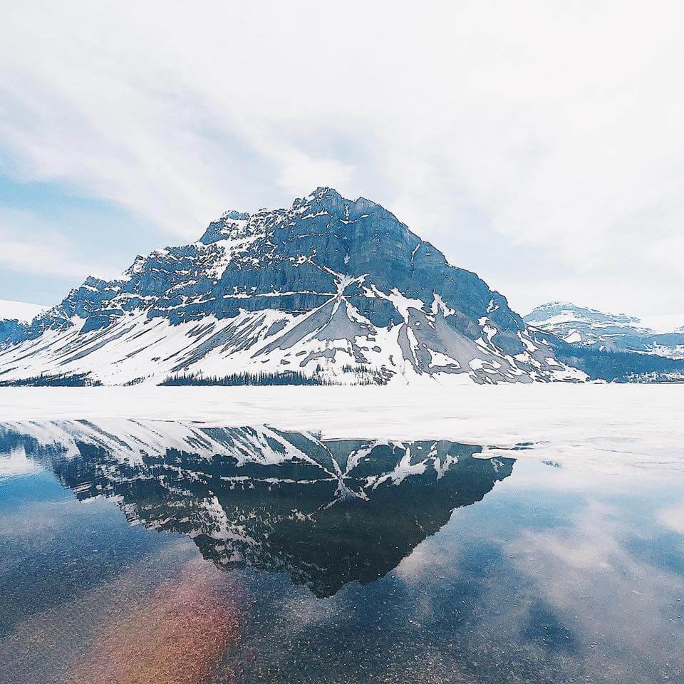 banff bow lake 超壯闊的弓湖，冰山倒映，籤先生推薦最愛的加拿大洛磯山脈湖泊景點。
