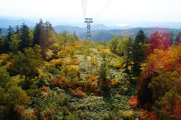 北海道楓景，旭岳風景。聯盟行銷大師班擴大你的視野與格局。