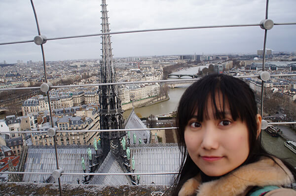 巴黎聖母院塔頂