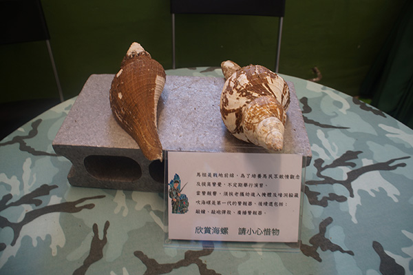 展示的海螺。