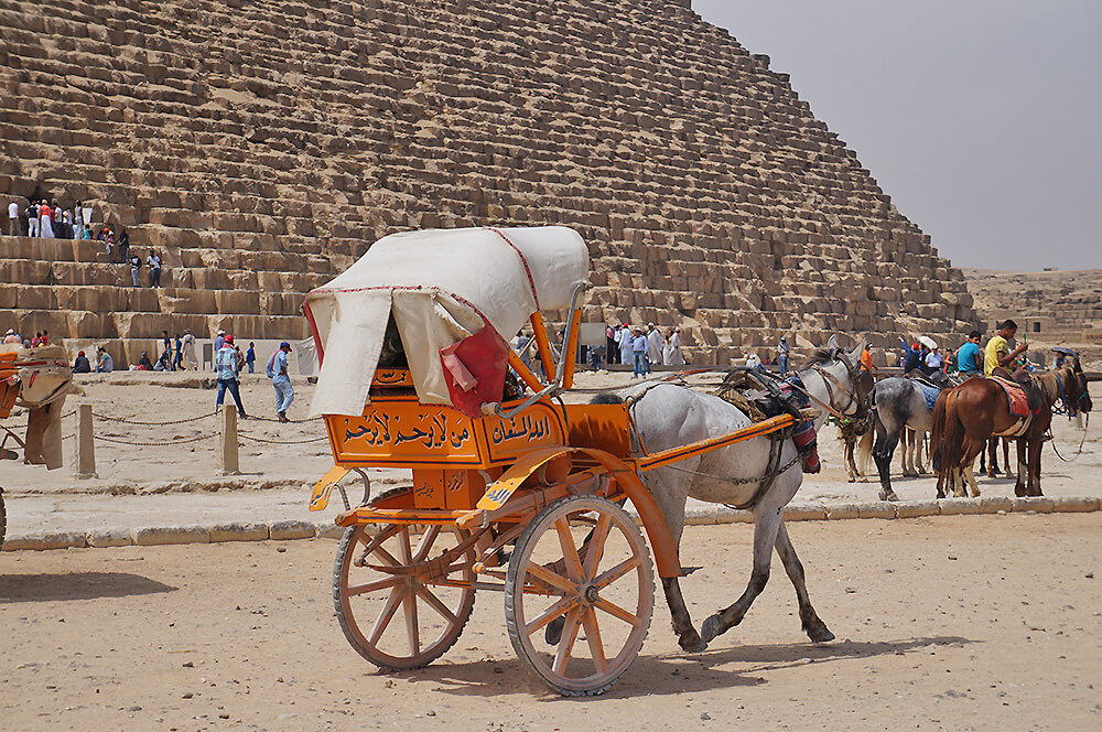 古夫金字塔，噠噠噠的馬蹄，勤勞工作中。