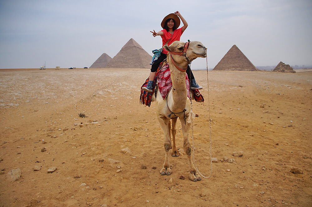 微貓 駱駝 沙漠 吉薩三大金字塔 之大合照耶！