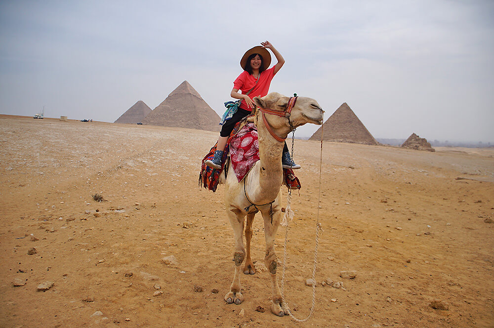 埃及，微貓，微笑駱駝，吉薩三大金字塔！