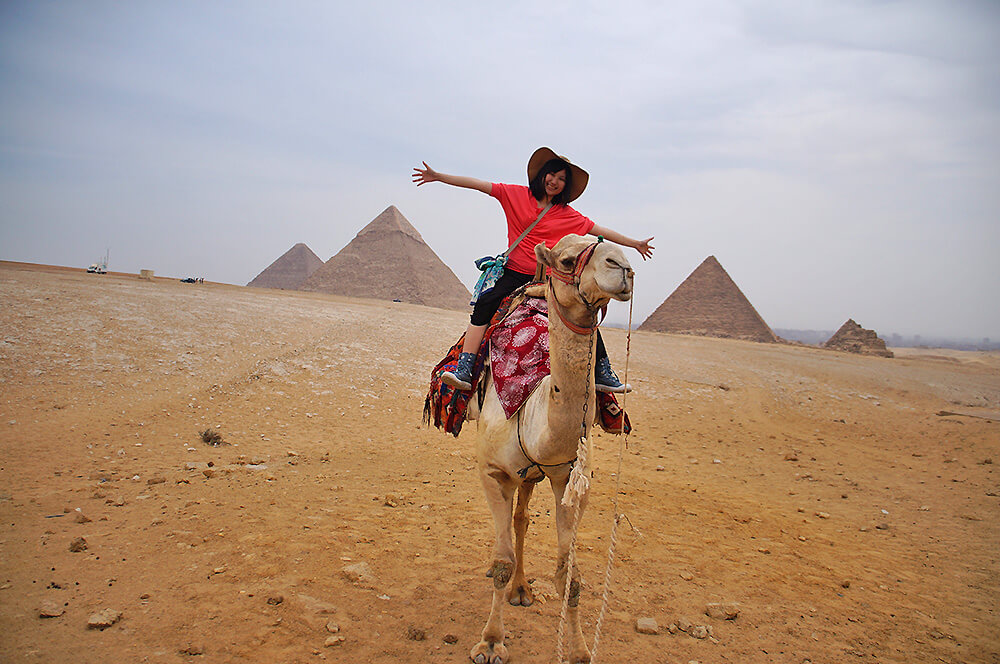 微貓 駱駝 沙漠 吉薩三大金字塔 之大合照耶！