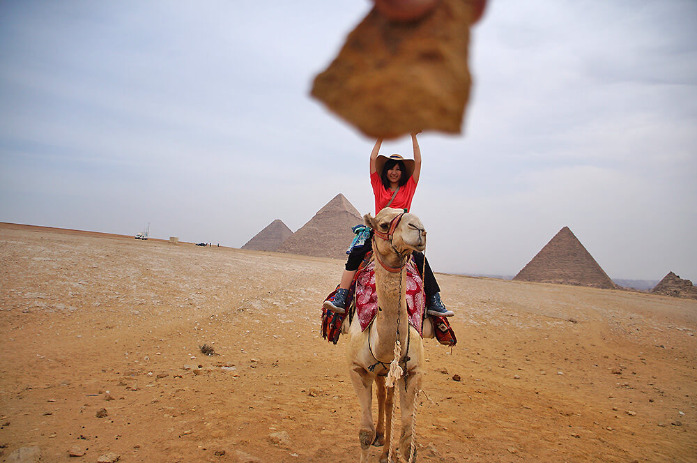微貓，駱駝，沙漠，金字塔。
