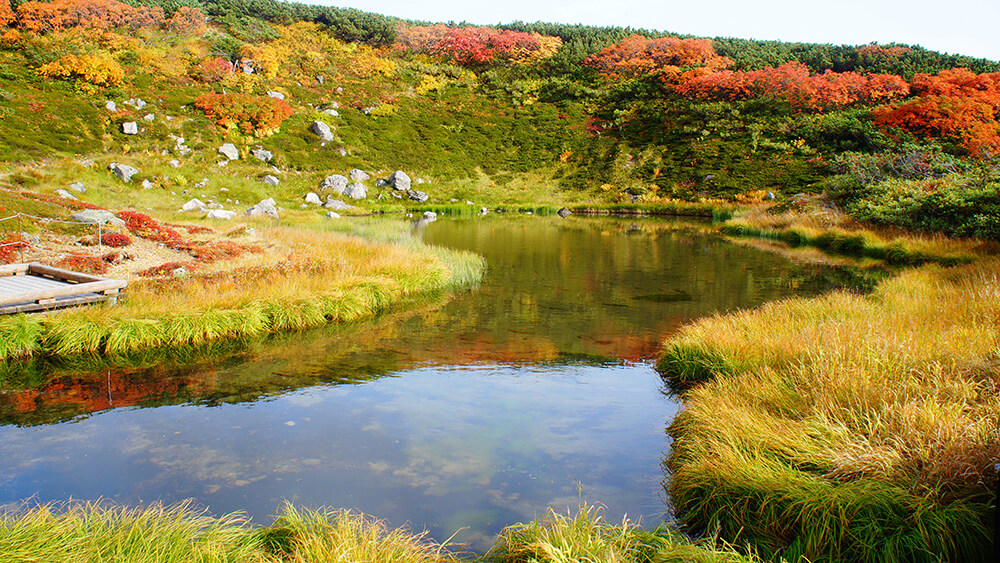 走出姿見站，進入日式庭園秋景！超漂亮！！！（這還不是姿見湖，別誤會。）