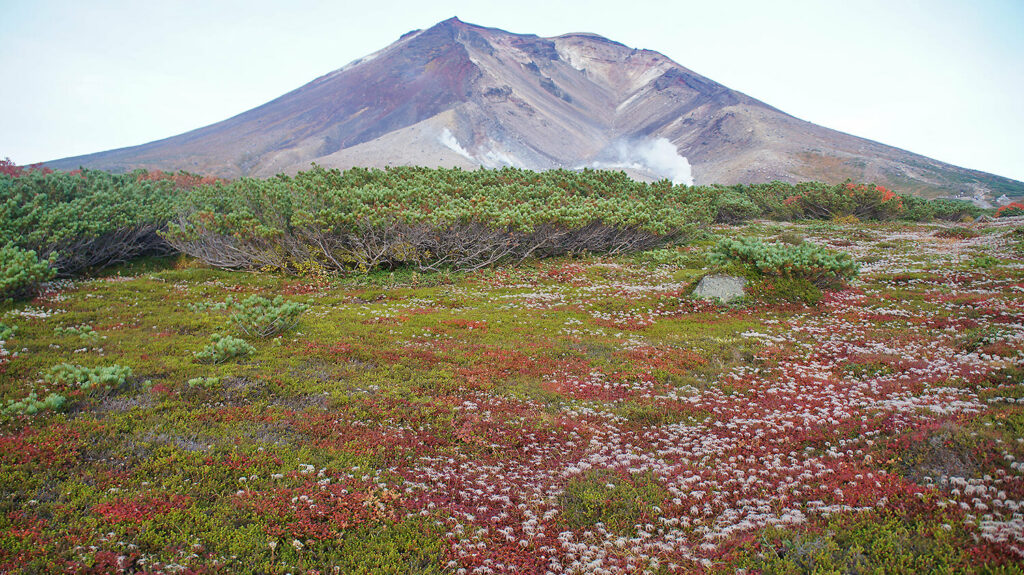 北海道，大雪山旭岳，被當地愛奴人稱為「神之庭園」的仙境。