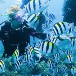 綠島水肺潛水體驗