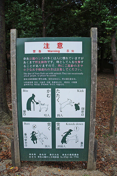 日文、中文、韓文、英文，四國語言圖文提醒你鹿很兇狠要小心。