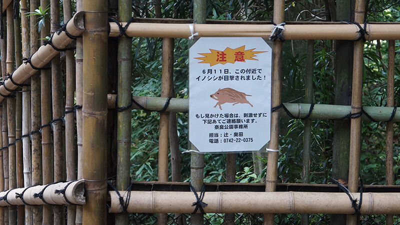 野豬出沒？！看不懂日文也知道要小心。