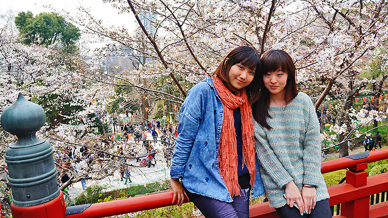 上野公園櫻花合影，清水觀音堂很適合喔！