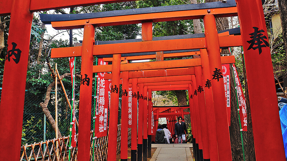 奉納，朱紅鳥居，深不見底，上野花園稻荷神社。