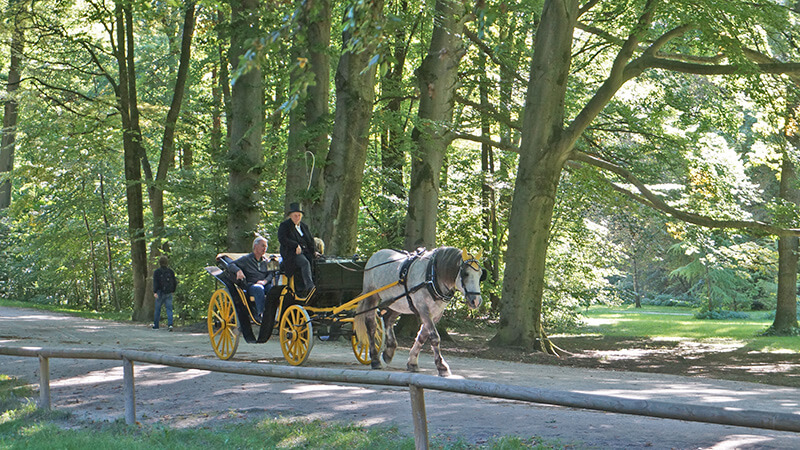 慕尼黑英國花園的林中馬車。