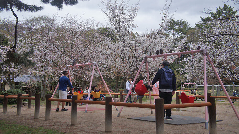近衛邸宅跡，被櫻樹圍繞的鞦韆，也太美了。