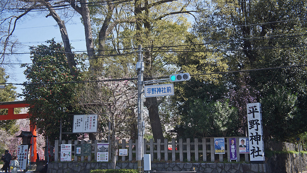 賞櫻這一站，平野神社。