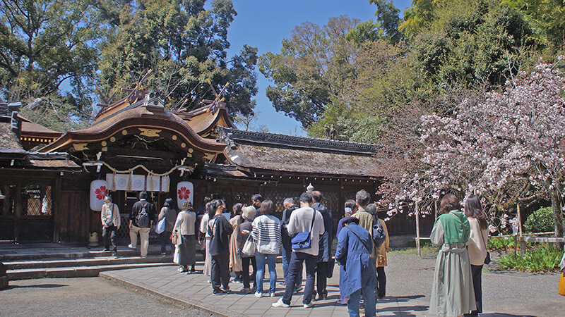 平野神社參拜正殿，要排隊呢！