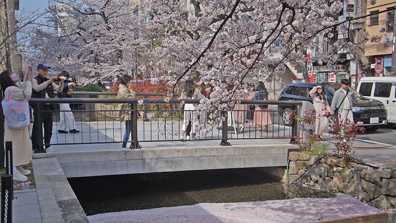 七瀨川美術館（？）旁的花筏小橋流水。