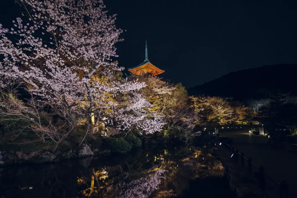 離場時的櫻花美景倒影。來源：官網。