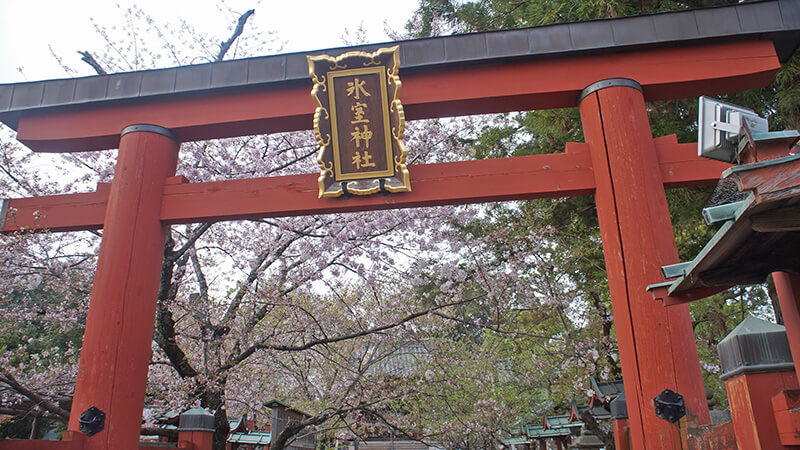 奈良氷室神社，漂亮的鳥居櫻花。